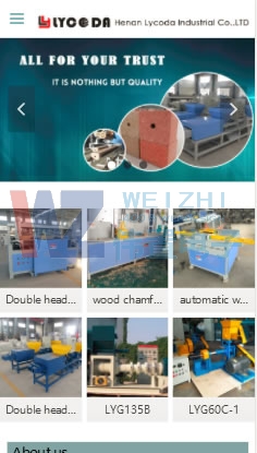 ���ʹ��ֻ�վ��վ����Ч��